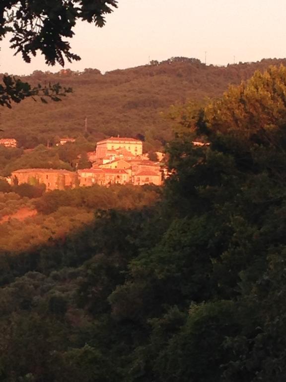 Al Casale Dei Nonni Bed & Breakfast Laureana Cilento Exterior photo